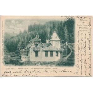 1901 Pojorata, Pojorita, Pozoritta (Bukovina, Bucovina, Bukowina); Salutare din Pareu Frumos, Pojorita / Villa Klika...