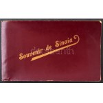 1906 Sinaia, general view. 3-tiled folding panoramacard in paper case