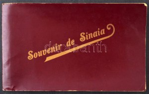 1906 Sinaia, general view. 3-tiled folding panoramacard in paper case