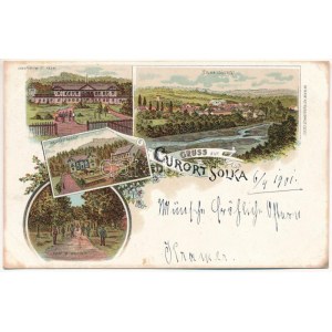 1901 Solca, Szolka, Solka (Bukovina, Bucovina, Bukowina); Sanatorium Dr. Poras, Solka (Südseite), Waldrestaurant...