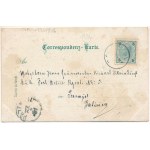 1901 Solca, Szolka, Solka (Bukovina, Bucovina, Bukowina); Sanatorium Dr. Poras, Solka (Südseite), Waldrestaurant...