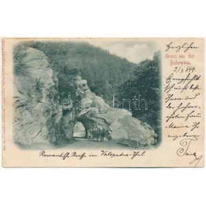 1899 Valea Putnei, Waleputna, Valeputna (Bukovina, Bucovina, Bukowina); Gruss aus der Bukowina...