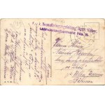 1918 Vatra Dornei, Dornavátra, Bad Dorna-Watra (Bukovina, Bucovina, Bukowina); Springbrunnen im Park / fountain + K.u...