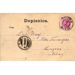 1900 Bled, Veldes; Gorenjsko. Zalozil D. / castel, lake, view (tear)