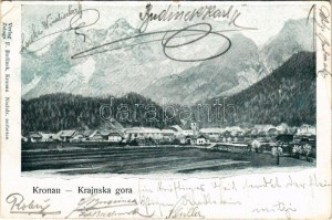 1901 Kranjska Gora, Kronau; general view. Verlag F. Budinek (EK)