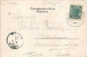1901 Kranjska Gora, Kronau; general view. Verlag F. Budinek (EK)