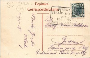 1906 Krsko, Gurkfeld; general view + 