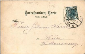 1906 Maribor, Marburg; Herrengasse / street view, shop of Johann Hollicek. Verlag v. Heinrich Krapek Photograph (EK...