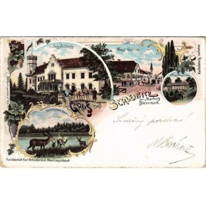 1899 Slivnica pri Mariboru, Schleinitz (Steiermark); Burg Schleinitz, Wregg's Gasthaus u. Weingartenhaus, Damhirsch...