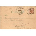 1899 Slivnica pri Mariboru, Schleinitz (Steiermark); Burg Schleinitz, Wregg's Gasthaus u. Weingartenhaus, Damhirsch...