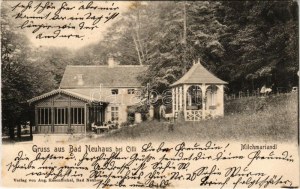 1904 Terme Dobrna, Bad Neuhaus bei Cilli (Celje); Milchmariandl / milk drinking hall, restaurant. Verlag v. Aug...