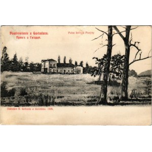1910 Hvizdets, Gwozdziec; Palac kniazia Puzyny / palace, castle (fl)