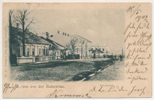 1903 Storozhynets, Storoschynez, Storozyniec, Storozynetz (Bukovina, Bucovina, Bukowina); Leon König No. 56. / street...