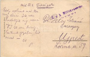 1916 Stryi, Stryj, Strij; Hotel Imperial i Hotel Dienstl. Verlag Schönfeld / hotel + 