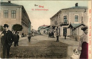 1904 Stryi, Stryj, Strij; Ul. Goluchowskiego / street view, publisher's shop. Montage with lady, dog and gentlemen (EB...