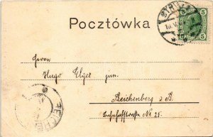 1904 Stryi, Stryj, Strij; Ul. Goluchowskiego / street view, publisher's shop. Montage with lady, dog and gentlemen (EB...