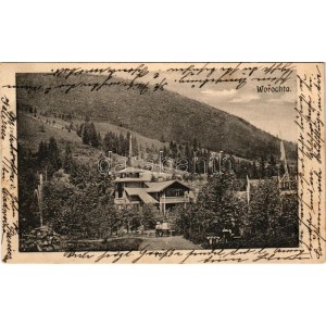 1905 Vorokhta, Worochta, Worochsie, Vorohta; park (fl)