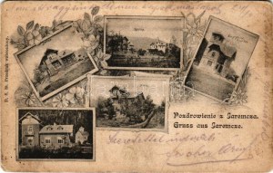 Yaremche, Jaremcse, Jaremcze, Jaremce; Bettina, Malwina, Privat Villa, Helena, Janina / villas. Art Nouveau, floral (fl...