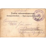 Yaremche, Jaremcse, Jaremcze, Jaremce; Bettina, Malwina, Privat Villa, Helena, Janina / villas. Art Nouveau, floral (fl...