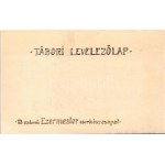Állj, ki vagy? 13. számú Ezermester cserkészcsapat Tábori levelezőlap / Hungarian boy scout art postcard (fl...