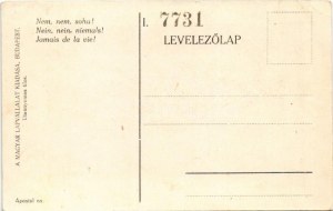 Nem, nem, soha! Cserkész művészlap, irredenta propaganda. A Magyar Lapvállalat kiadása. Apostol nyomda ...