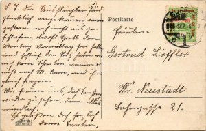 1915 Zur Erinnerung an das 15 jährige Bestehen des Original Tiroler Gesang-, Musik-, und Tanz-Ensemble, Direktion...