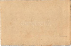 K.u.K. Kriegsmarine Donauflottille / Császári és Királyi Haditengerészet Dunaflottilla 