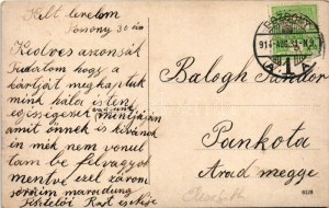 1914 Elisabeth lapátkerekes gőzhajó Pozsonynál a vár előtt / 