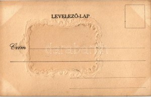 Vörösmarty Mihály (1800-1855) ezüst dombornyomott keretben / Emb. frame