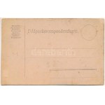 Vipava, Wippach; Első világháborús osztrák-magyar katonai ebéd menü / WWI Austro-Hungarian (K.u.k....