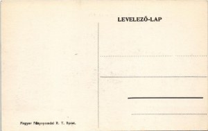 Hídverés a Száván / Brückenschlag an der Save / WWI Austro-Hungarian K.u.K. military...