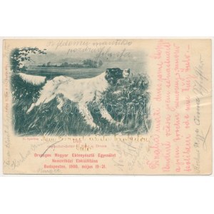 1901 Országos Magyar Ebtenyésztő Egyesület Nemzetközi Ebkiállítása Budapesten, 1900. május 19-21. ...