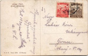 1920 Erster Schulgang / Dogs' first day at the school. T.S.N. Serie 1572. (6 Muster) s: Arthur Thiele (EK...