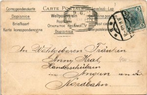 1905 Szecessziós litho hölgy művészlap / Art Nouveau litho lady art postcard. Serie 76 s: Basch Árpád (EK...