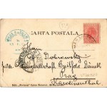 1904 M. S. Regina Elisabeta in costum National / Elisabeth of Wied, First Queen of Romania (wife of King Carol I) (EK...