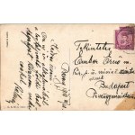 1916 Prosit Neujahr! B.K.W.I. 3000-5. / New Year greeting art postcard with pig and people in automobile ...