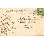 1908 Boldog újévet! Üdvözlőlap macskával, kutyával és malaccal. A levél címzettje báró Miske Ilona ...
