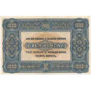 1920. 1000K Orell Füssli Zürich nyomdahely-jelöléssel, B17 346860 sorszámmal T:F, szép papír, pici folt ...