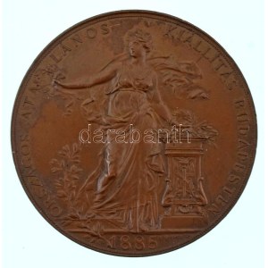 Schwartz István (1851-1924) 1885. Országos Általános Kiállítás Budapesten 1885 / Boros S.-nek, Budapest ...