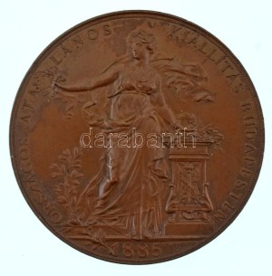 Schwartz István (1851-1924) 1885. 