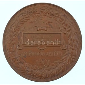 Schwartz István (1851-1924) 1885. Országos Általános Kiállítás Budapesten 1885 / Boros S.-nek, Budapest ...