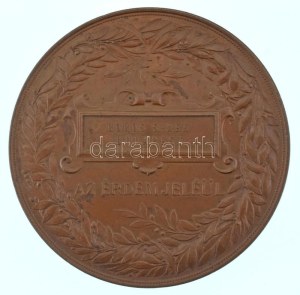 Schwartz István (1851-1924) 1885. 