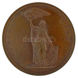 1862. Borúra derű kétoldalas bronz érdemérem, hátoldalán Magyar Tudományos Akadémia Magyar Hölgyek Díja 1862...