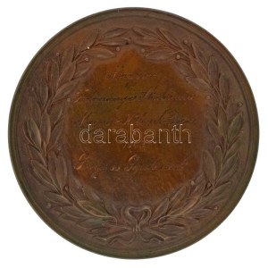 1862. Borúra derű kétoldalas bronz érdemérem, hátoldalán Magyar Tudományos Akadémia Magyar Hölgyek Díja 1862...