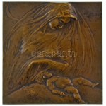 Ausztria DN "Adagio" bronz, egyoldalas, vert plakett. Szign.:Stefan Schwartz (80x79mm) T:AU,XF / Austria ND "Adagio...