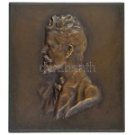Ausztria DN "Férfi portré" bronz, vert, egyoldalas plakett Szign.:Hans Schneider (62x55mm) T:AU kis patina ...