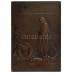 Franciaország 1898. "Sadi Carnot temetése" "XXIV JUIN MDCCC XCIV - DANS LE DEUIL DE LA PATRIE / I...