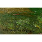 Magyar Mannheimer Gusztáv (1859-1937): Hegyvidéki táj, 1930. Olaj, rétegelt falemez. Jelezve balra lent...