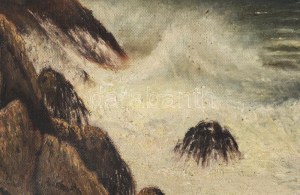 Czölder Dezső (1875-1933), felvidéki festő: Vízparti táj. Olaj, vászon, jelzett. Dekoratív, kissé sérült fakeretben...