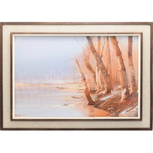 Fejér Csaba (1936-2002): Tiszapart. Olaj, farost, jelezve jobbra lent. 40x60 cm. Hátoldalán Sáfár GMK címkéjével...